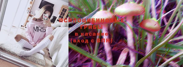 ешки Алексеевка